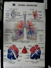 MEDECINE (ECOLE DE) PLANCHE