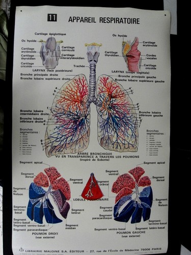 Medecine planche - medecine,
