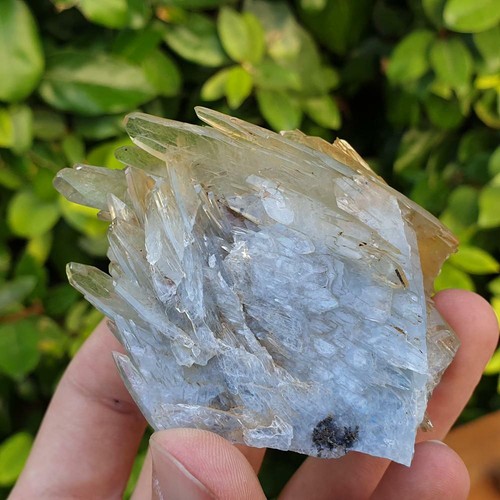 Baryte barytine bleue - -, nador