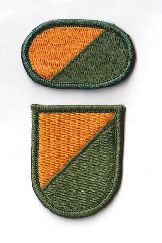 Oval beret flash - beret, 73rd