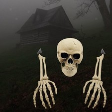 Squelette de crâne de tête