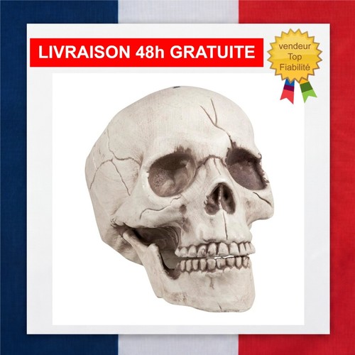 Décoration crâne jawbone - crâne,