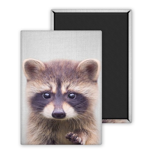 Raton laveur bébé magnet - raton,
