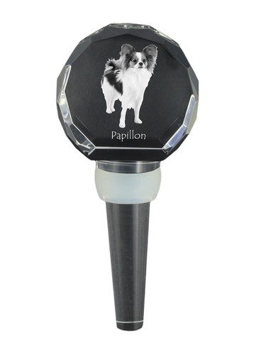Papillon epagneul nain - papillon,,