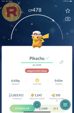 Shiny Pikachu Leaf Hat Costume