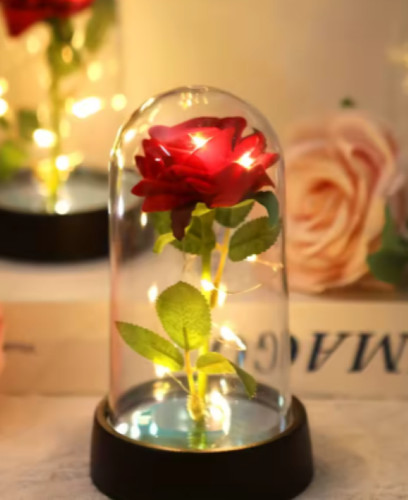 Rose sous cloche lumineuse - , –