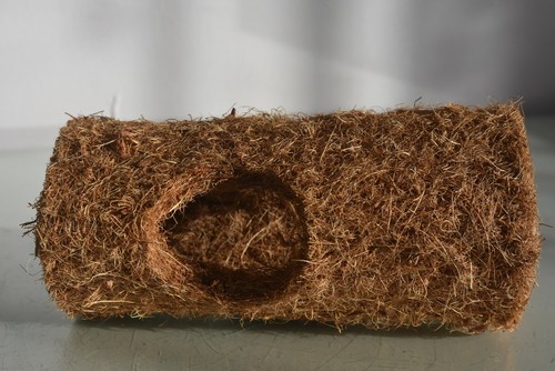 Vivarium terrarium reptile - vivarium,