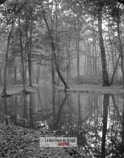 Bois de Boulogne, Paris, glass plate, old photo, negative 9x12 cm