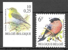 Belgique Oiseaux Buzin
