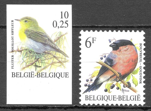 Belgique oiseaux buzin - belgique,