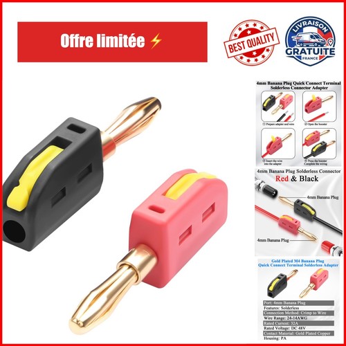 Fiche banane qianrenon - 4,