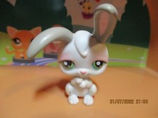 Petshop Lapin  de Garenne #211 / Aimant rose