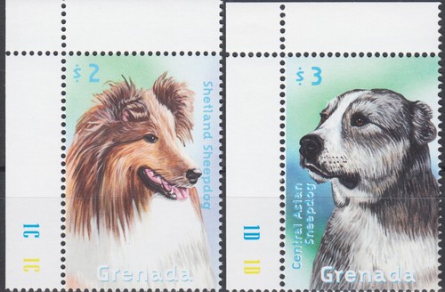 Grenade 2000 chiens berger - 2000, chiens,