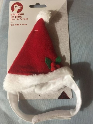 Bonnet noel pour - de, petit