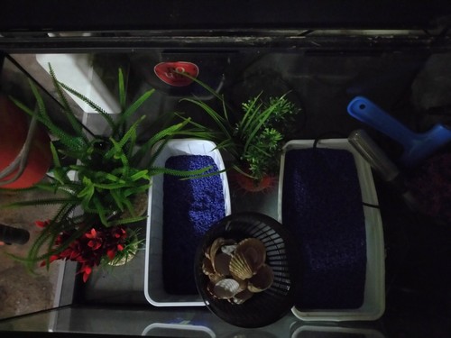 Aquarium complet litres - 60,