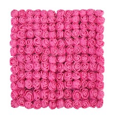Rose Rouge Fleurs