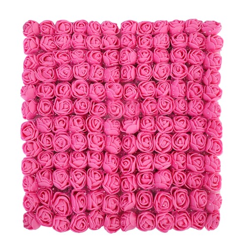 Rose rouge fleurs - rose,