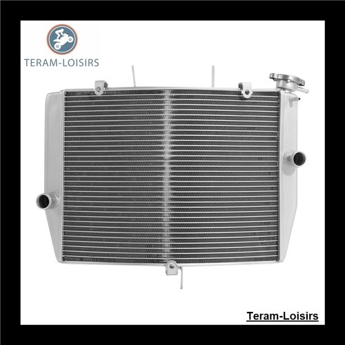 Radiateur pour kawasaki ninja - pour,