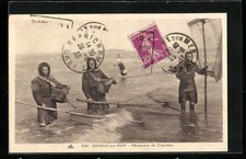 Old postcard Cayeux-sur-Mer, shrimp fishermen, Krebsfischer 1933 