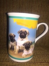 MADE IN THE SHADE~DANBURY