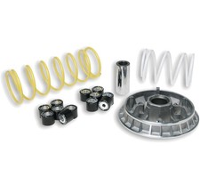 Variateur malossi multivar