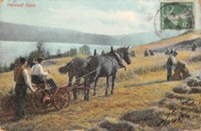 HARVEST TIME - Field Mowing - Reaper and Horses 
