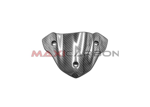 Coupole carbone bmw 1000 - en,