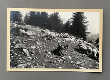 Photographie de montagne