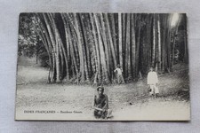 Indes Françaises, bambous
