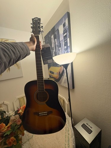 Guitare dreadnought ranger - guitare, 6