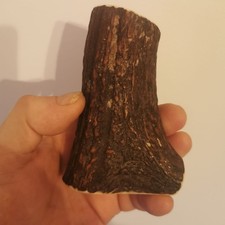 325.CORNE DE CERF ROUGE