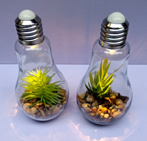 Decorative light bulb - decorative,