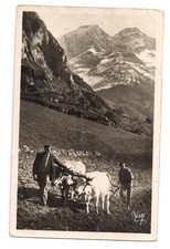 les pyrénées tillage en