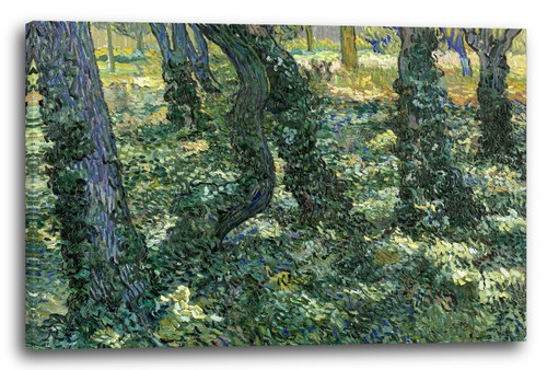 Toile cadres vincent van - vincent,