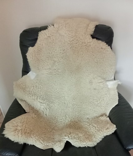 Cuir véritable peau - cuir,