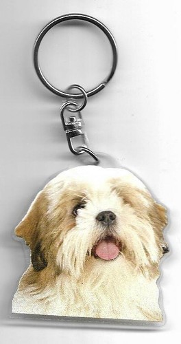 Lhassa apso chien porte - chien, /