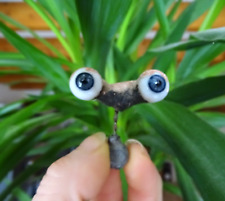Yeux bleus de poupée anciens