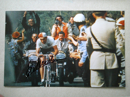 Eddy merckx original - merckx, signed
