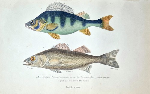 Gravures originales perche - originales,