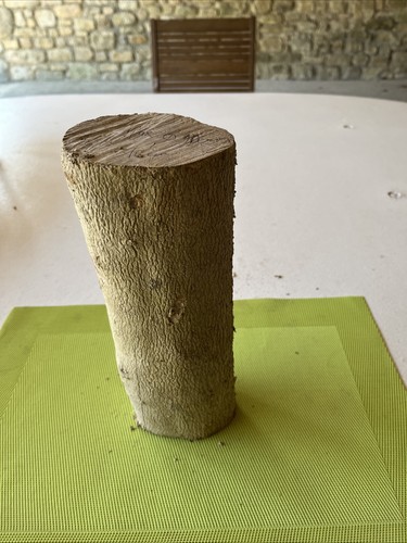 Bois buis boxwood - de,
