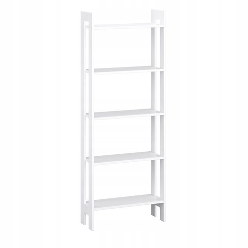 étagère échelle pour salon - échelle,
