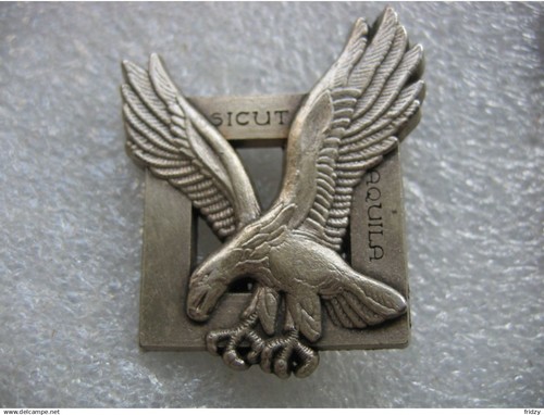 Ancienne insigne militaire
