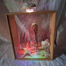 Vitrine hippocampe-cabinet de