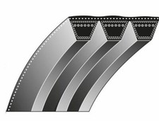 Courroie Dentée Tondeuse À