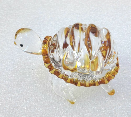 Petite tortue terre en - petite,