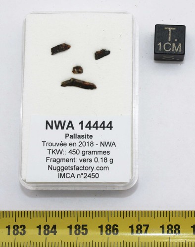 Météorites nwa 14444 - météorites,