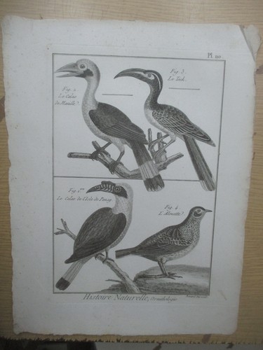 Gravure vers 1780
