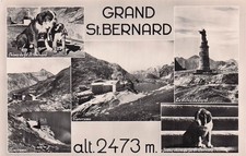 SUISSE GRAND SAINT BERNARD COL
