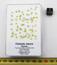 Olivines de Pallasite Jepara