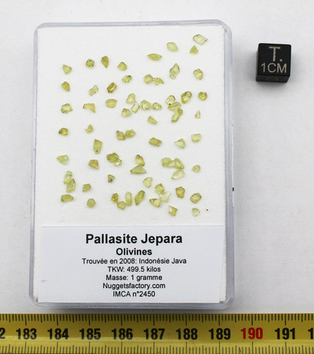 Olivines pallasite jepara - pallasite,